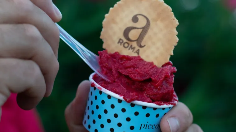 'Bezgre&scaron;ni užitak' osvojio je Maju &Scaron;uput, Marijanu Batinić i jo&scaron; desetke tisuća ljudi