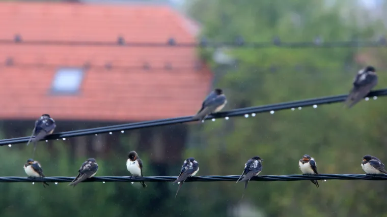 Stiže nam nova porcija vlažnog i nestabilnog zraka: Mogući su pljuskovi praćeni grmljavinom i nevere!