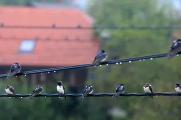 Stiže nam nova porcija vlažnog i nestabilnog zraka: Mogući su pljuskovi praćeni grmljavinom i nevere!