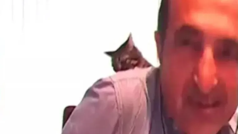 Javljao se uživo u emisiju, kad mu je mačka pokazala tko je gazda: Voditeljica nije uspjela zadržati smijeh