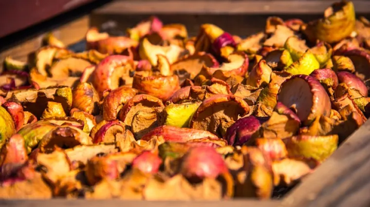 Kako osu&scaron;iti voće na suncu?