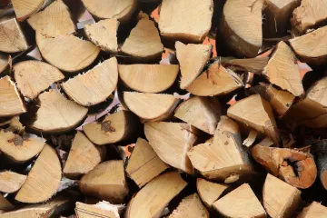 Strah od zime, ne i od policije: Krali drva u šumi, vlasnik oštećen za 100.000 kuna