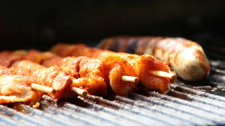 Kako radi električni ro&scaron;tilj?