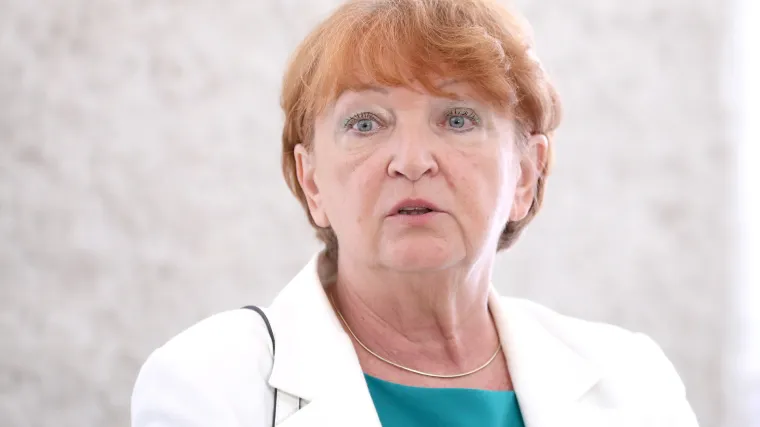 Hrvoj-&Scaron;ipek nakon zločina u Novskoj i Gospiću zatražila analizu podataka o nasilju u obitelji