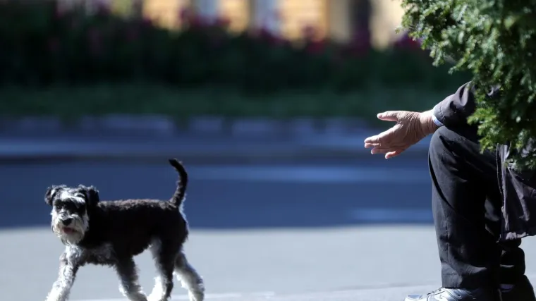 Dvojica tipova prosjačili predstavljajući se kao lažni invalidi, uhićeni su s nekoliko stotina kuna