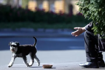 Dvojica tipova prosjačili predstavljajući se kao lažni invalidi, uhićeni su s nekoliko stotina kuna