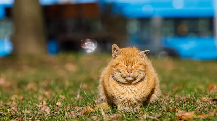 Jo&scaron; danas su mogući pljuskovi, a sljedeći tjedan nas čeka sunčano i toplo vrijeme