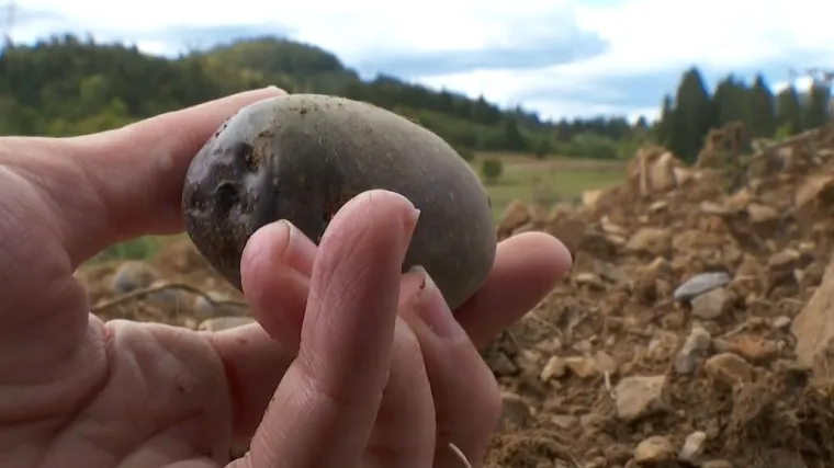 Goranski poljoprivrednici na mukama zbog su&scaron;e: 'Morat ćemo zatvoriti firme, negdje drugdje potražiti sreću'