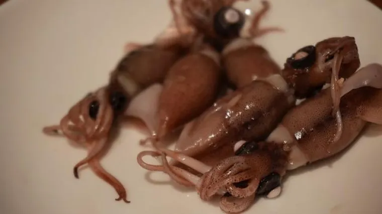 Kako pripremiti ukusne i sočne punjene lignje ispod peke?