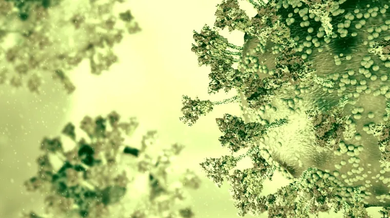 Koronavirus u Hrvatskoj: Preminulo je 10 ljudi, a zabilježeno je 907 novih slučajeva zaraze