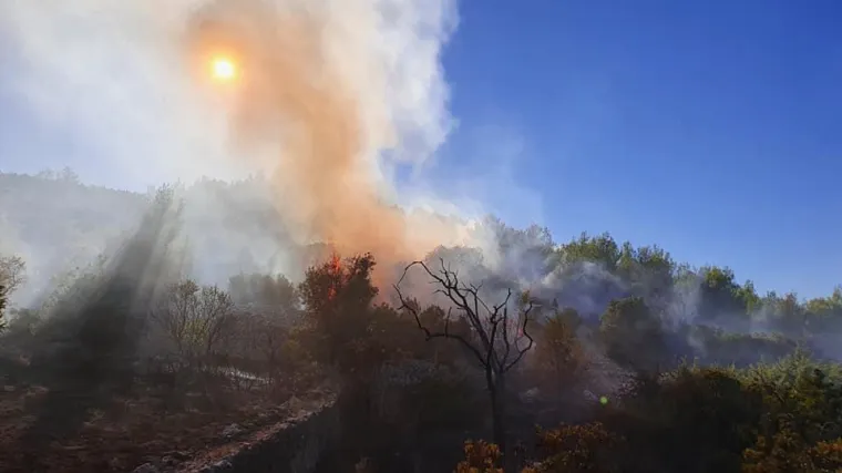 &Scaron;umski požar je planuo na nepristupačnom terenu, a gasi ga i kanader