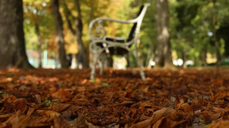 Maglovita jutra, sunčani dani, pone&scaron;to ki&scaron;e: Iako službeno počinje u petak, jesen je stigla na velika vrata