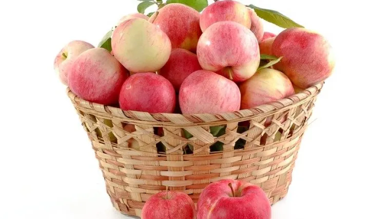 Kako na pravilan način pripremiti voće za rakiju?