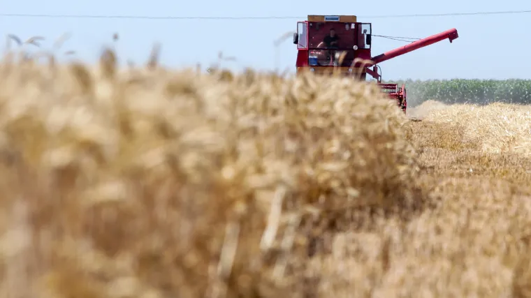 Kombajnirao pa u polju pronašao mrtvo ljudsko tijelo. Policija na mjestu pronalska obavila očevid