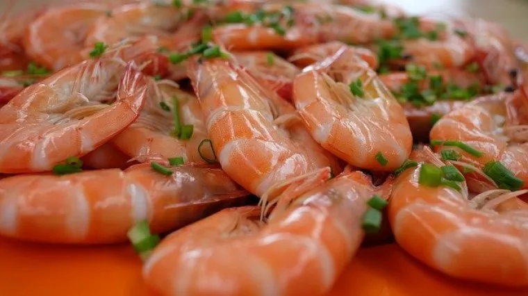 Kako se pripremaju smrznuti &scaron;kampi?