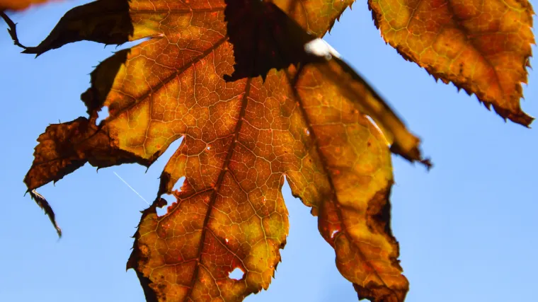 U listopad ulazimo s razmjerno toplim vremenom, jo&scaron; ujutro moguća ki&scaron;a. Idućih dana sunčano i ugodno