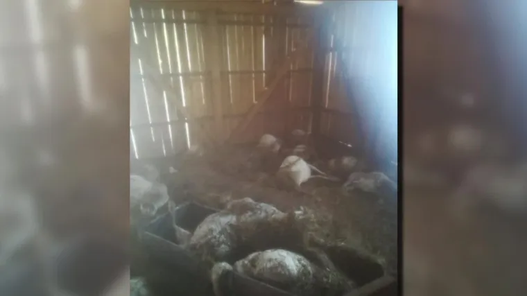 RTL s obitelji Ple&scaron;e iz Kupjaka: U bujici im se podavila stoka. 'Žao mi je životinja. Nije im bilo pomoći'