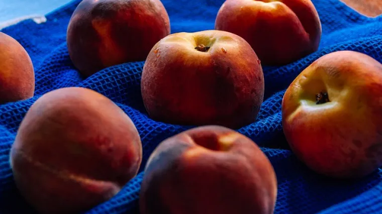 Osvježavajući desert brzi kolač od breskve za svaki dan