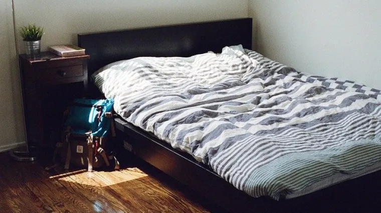 &Scaron;to učiniti kada se pojave buhe u krevetu?