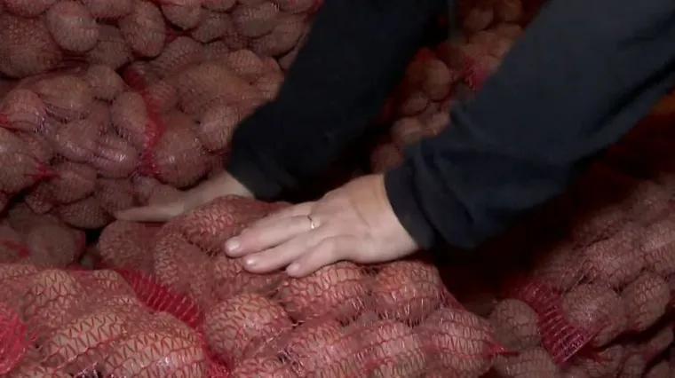 Ličkog krumpira sve manje, cijena mu raste: 'Urod se prepolovio, zato je poskupio'