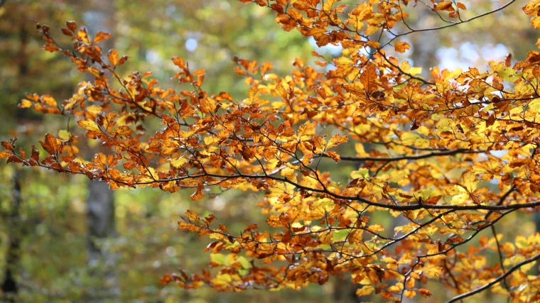 Idealna subota za provesti dan u prirodi: Bit će sunčano i toplo, u nedjelju slijedi blago zahlađenje