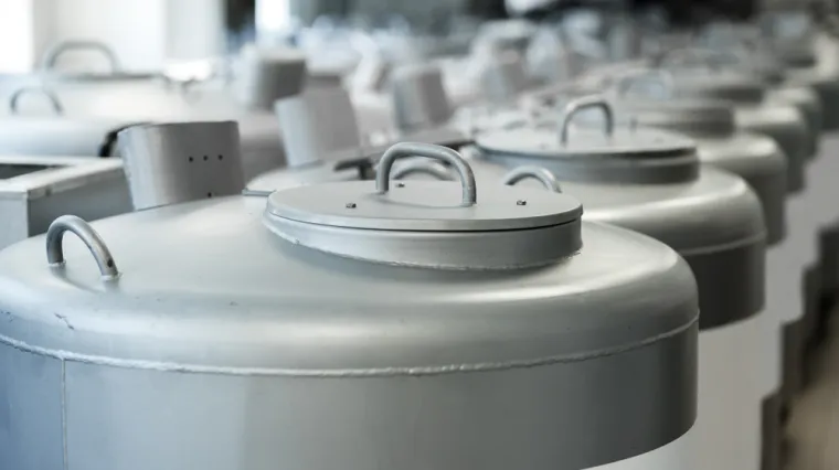 Je li za njih 'smrt na pauzi'? Tvrtka čuva 199 tijela kako bi ih jednog dana vratila u život. 'To je naivno'