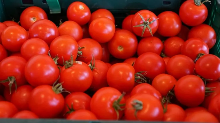 Recept za kečap gotov za samo pola sata