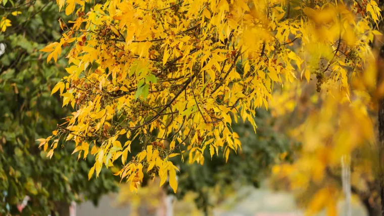 Danas sunčano i svježije: Slijedi postupno sve toplije razdoblje po južini