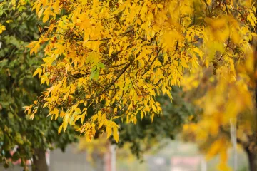 Danas sunčano i svježije: Slijedi postupno sve toplije razdoblje po južini