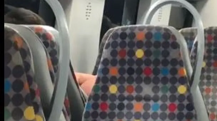 Mladi par se prepustio sirovim strastima usred vlaka, nisu se obazirali ni kada se lik koji ih je snimao preselio da ima bolji pogled