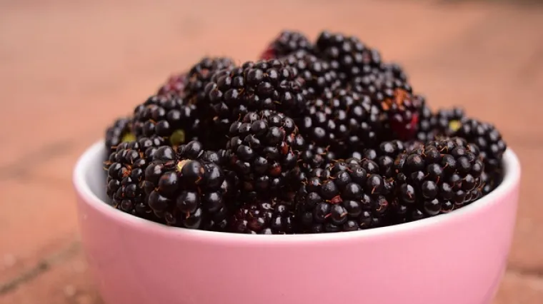 Kolač od smrznutih kupina - recept i priprema