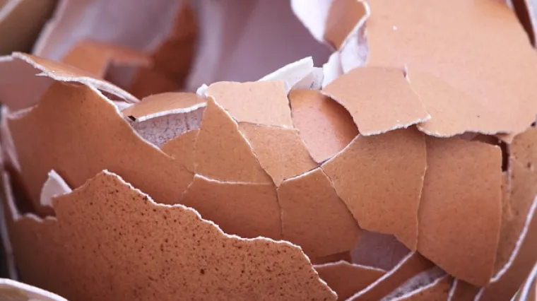 Kratki vodič i savjeti za upotrebu ljuske od jaja