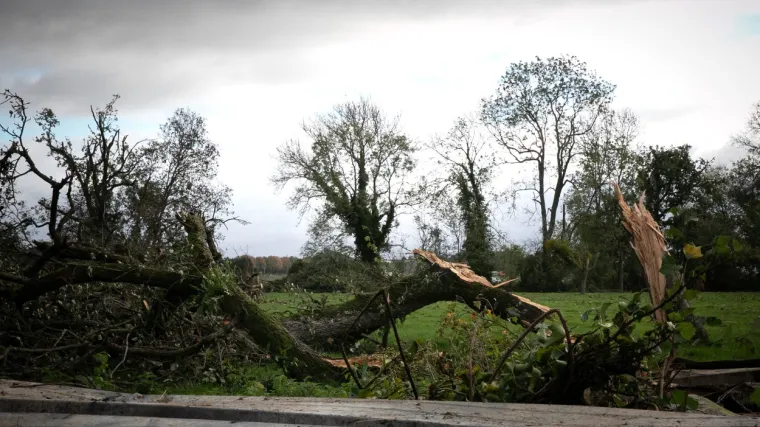 Tornado čupao krovove i nosio sve pred sobom: Tisuće kućanstava ostalo bez struje