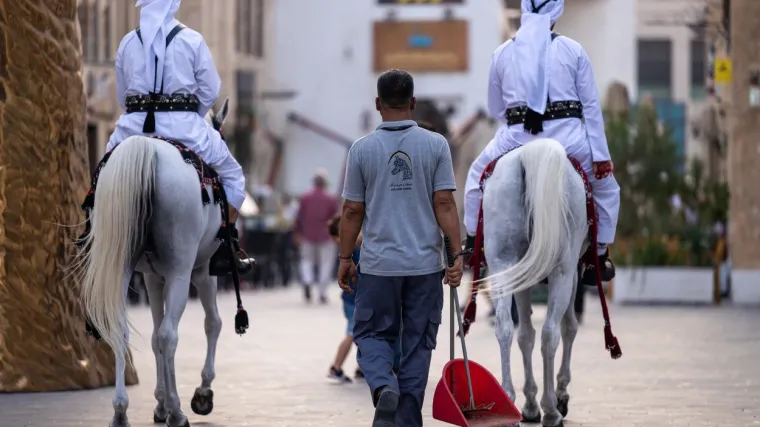 Pa, gdje sad još i to?! 24 dana prije početka SP-a stiglo upozorenje o smrtonosnim kukcima gorim nego COVID