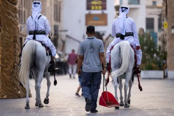 Pa, gdje sad još i to?! 24 dana prije početka SP-a stiglo upozorenje o smrtonosnim kukcima gorim nego COVID