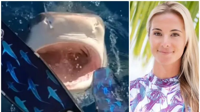 Tko preživi, o tom priča iz kolica: Morski pas pokušao zagristi noge djevojke čim je primijetio da ih spušta u more