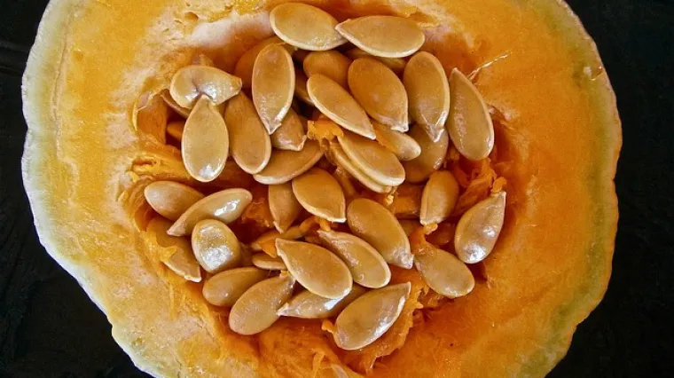 Namaz od bučinih sjemenki i sira - recept i priprema