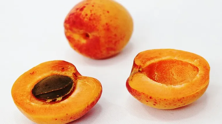 Kratki vodič i upute za su&scaron;enje ko&scaron;tice marelice