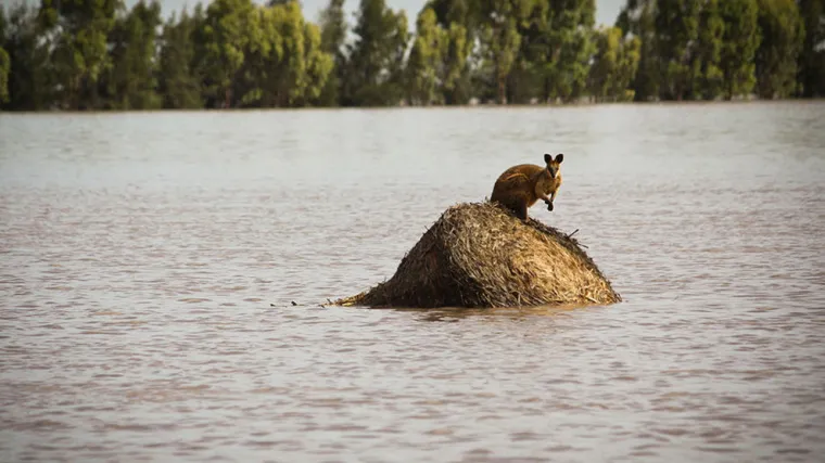 Tisuće Australaca napu&scaron;taju domove zbog upozorenja na poplave