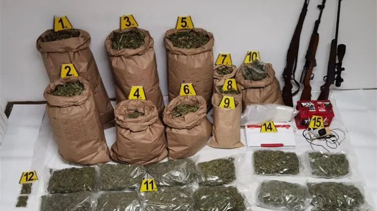 &Scaron;panjolska policija zaplijenila rekordnu količinu marihuane ikad, i u svijetu: 'To je ekvivalent otprilike 1,1 milijun biljaka'