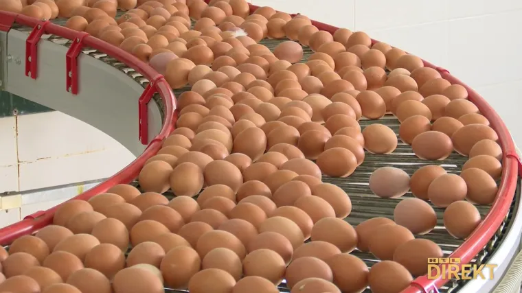 Poskupjela su jaja, mlijeko i kruh. Kod nas više nego u EU: Direkt provjerio zašto