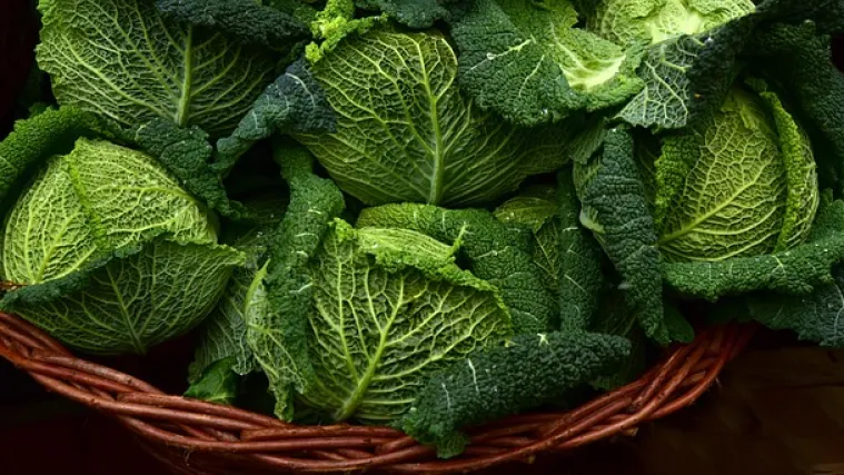 Koje je najpoznatije lisnato povrće? Koje su osnovne karakteristike lisnatog povrća?