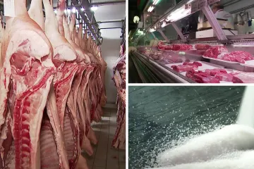Trgovci traže odmrzavanje cijena šećera i povećanje marže na svinjsko meso! Hoće li Vlada popustiti?