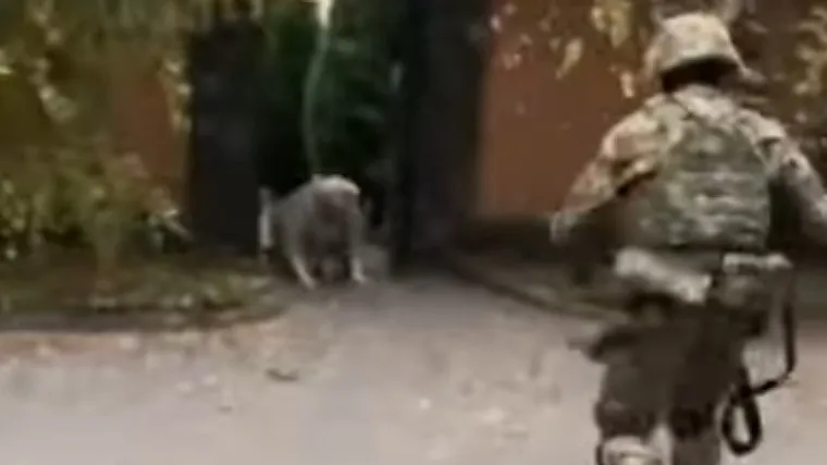 VIDEO Širi se snimka iz susreta bake i unuka vojnika nakon oslobođenja Hersona