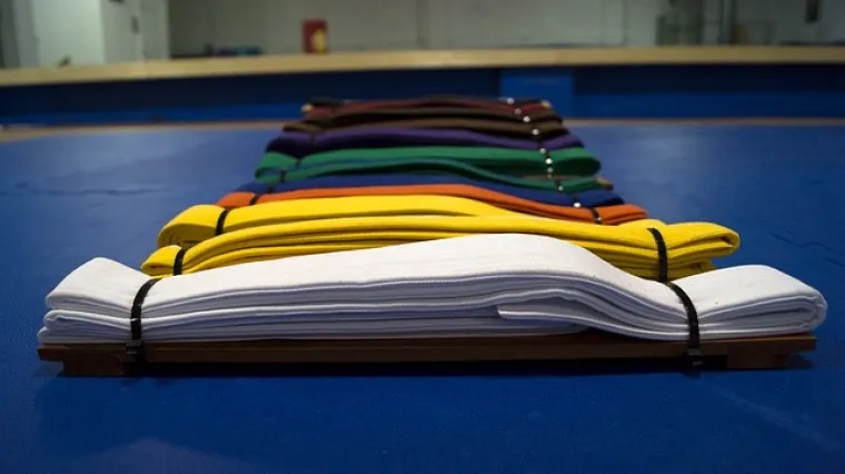 Koji su sve taekwondo pojasevi? &Scaron;to znače pojedini taekwondo pojasevi?