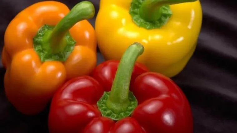 Kako na pravilan način pržiti paprike?