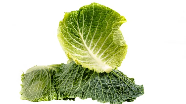 Salata od kelja i krumpira - recept i priprema