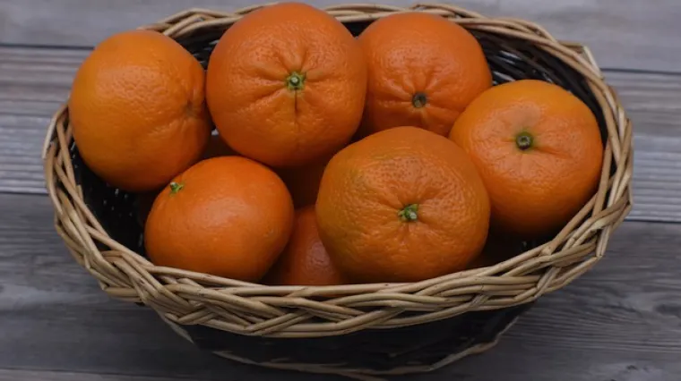 Kratki vodič i savjeti za pravilan uzgoj mandarina