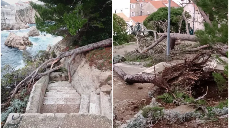 Olujno nevrijeme vođeno pijavicom pogodilo Dubrovnik: Čupalo borove iz korijena, vatrogasci su i dalje na terenu