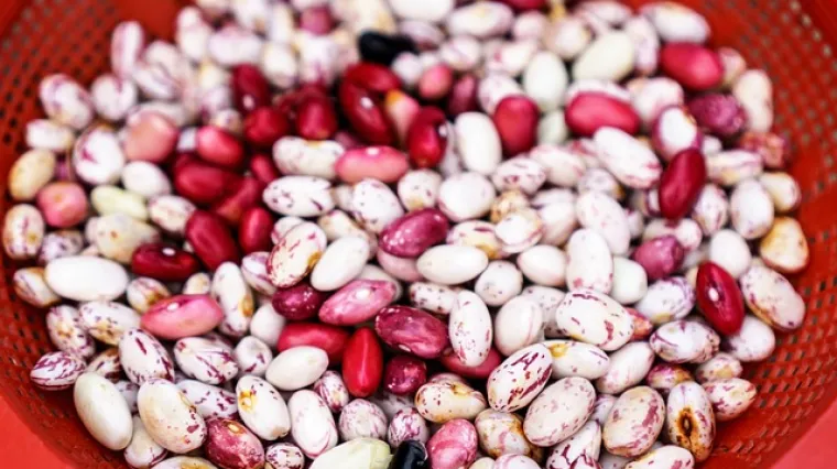 Krem juha od graha gotova za 20 minuta